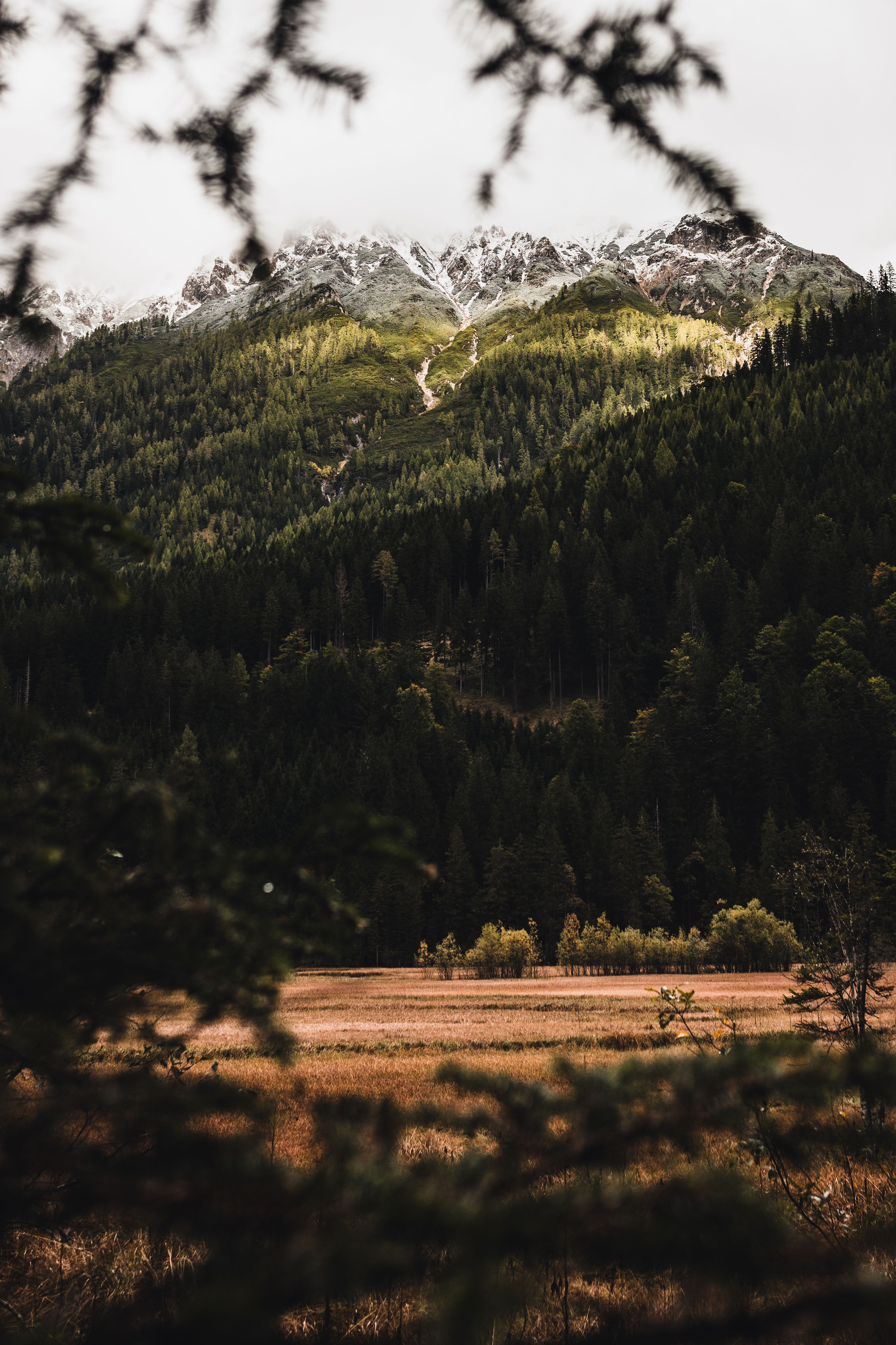Explore the breathtaking alpine landscape with forested slopes and snow-capped mountains.