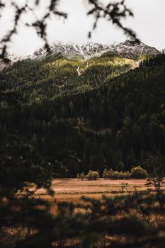 Explore the breathtaking alpine landscape with forested slopes and snow-capped mountains.