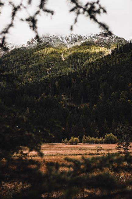Explore the breathtaking alpine landscape with forested slopes and snow-capped mountains.