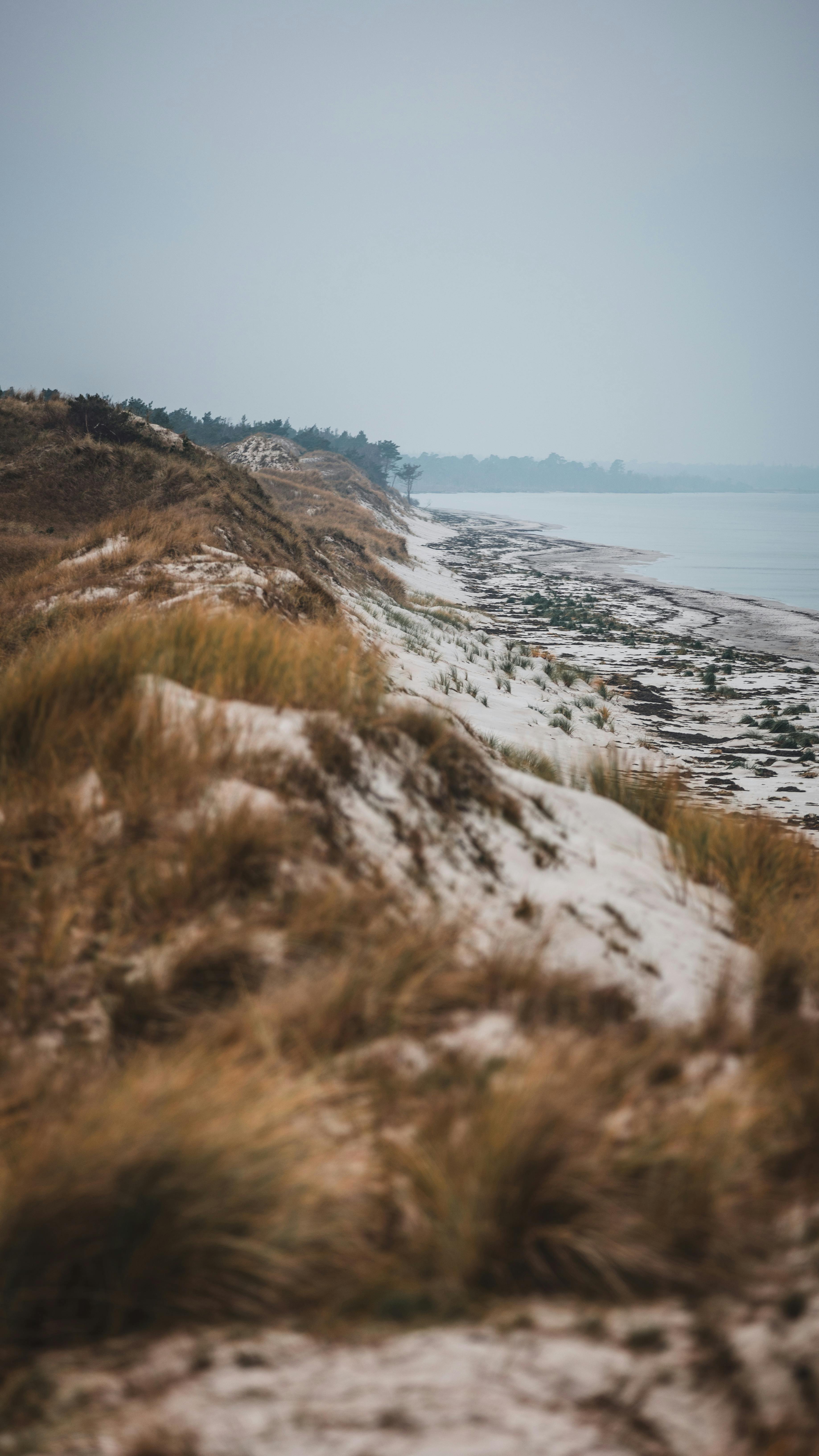 Ameland travel photo 5