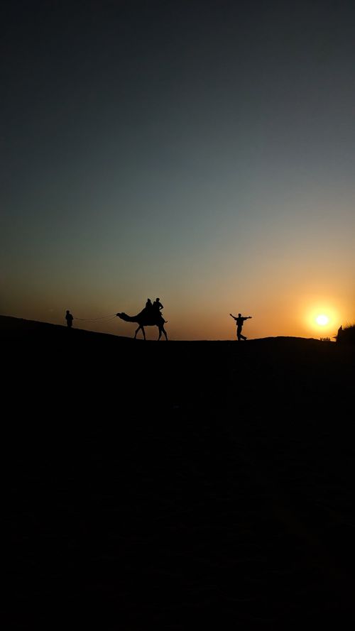 Free stock photo of 4k sunset, artistic dessert, camel Stock Photo