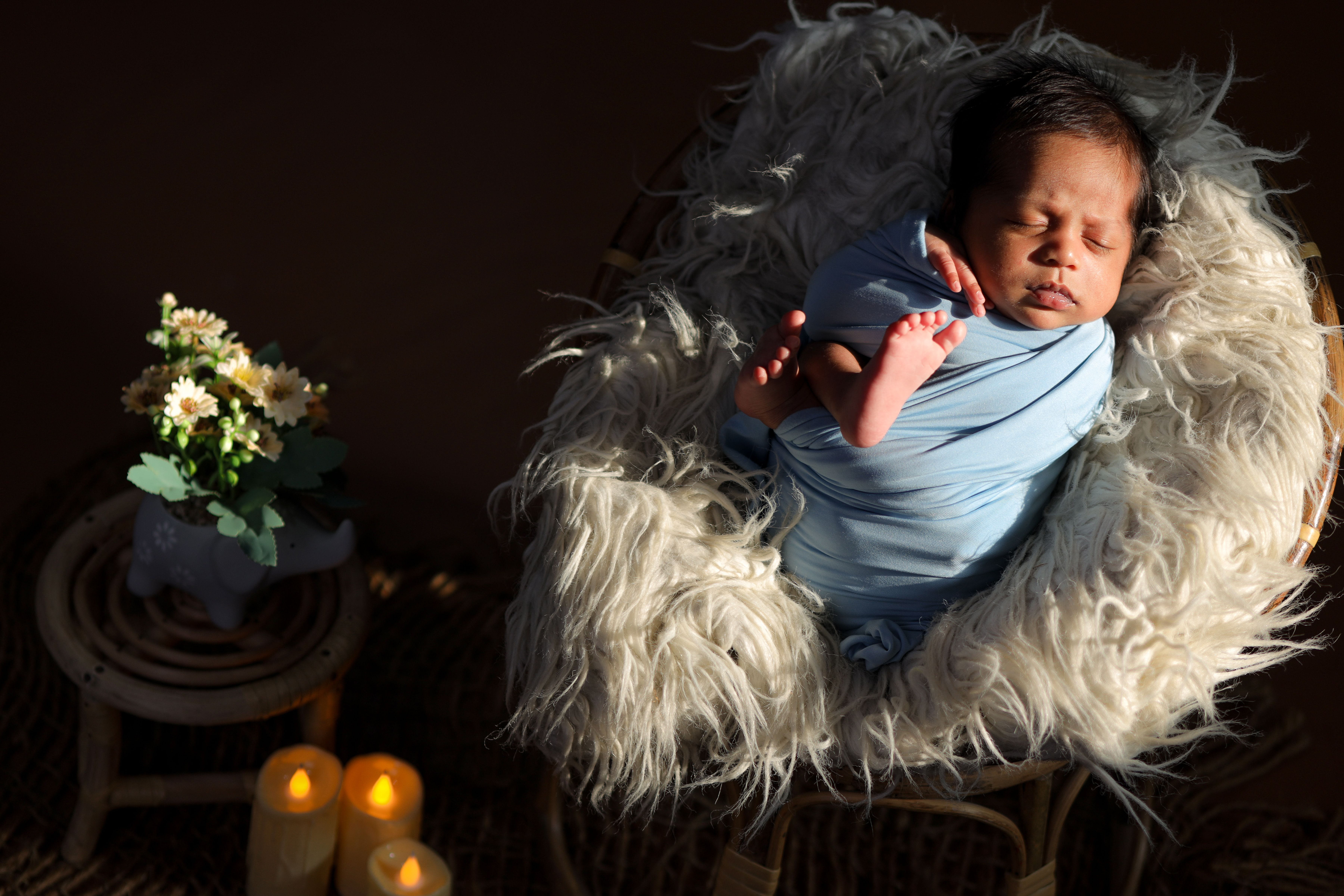 Laura+Loomer+Born Photos, Download The BEST Free Laura+Loomer+Born Stock  Photos & HD Images