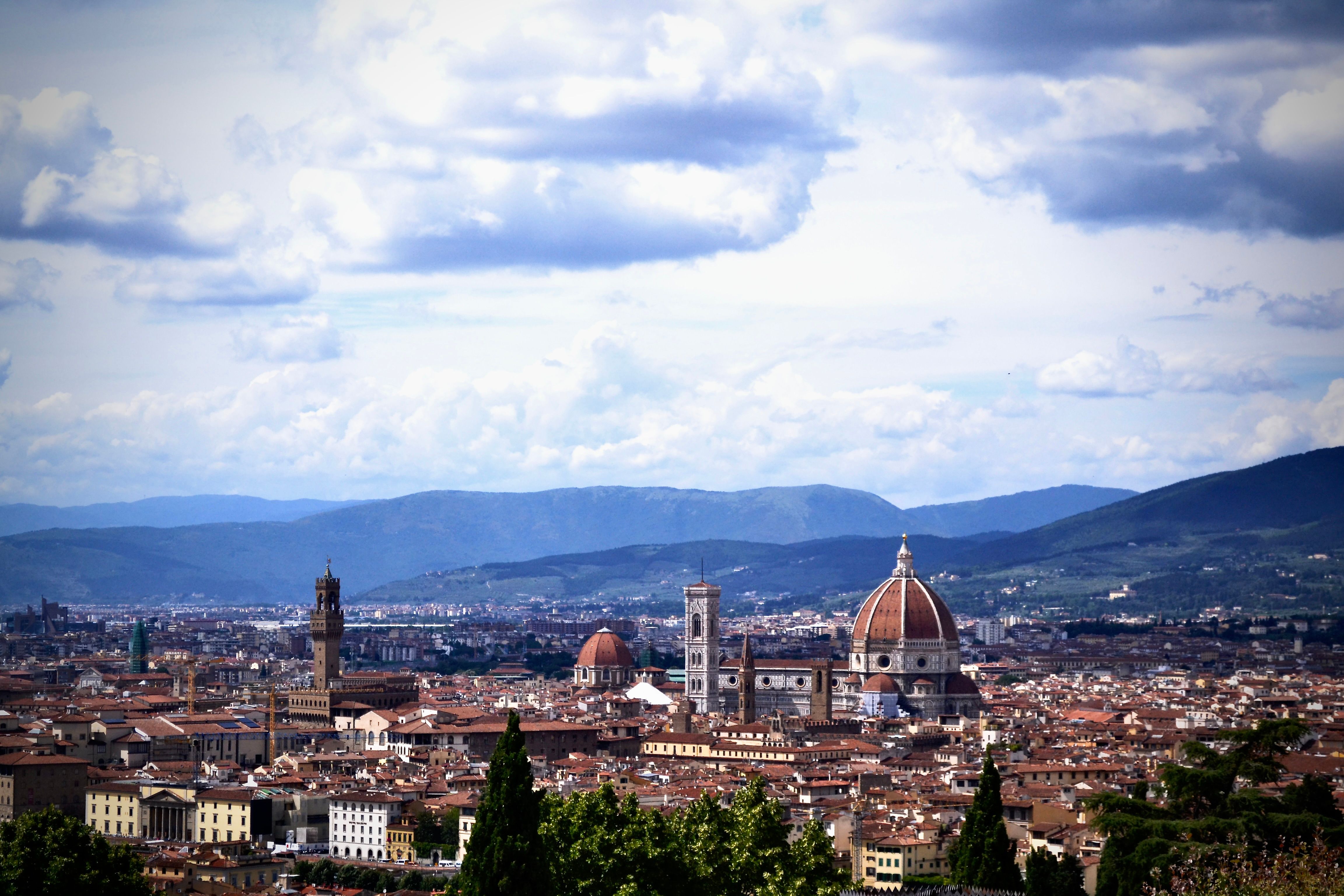 Panoramic Florence skyline with the Duomo and Palazzo Vecchio
