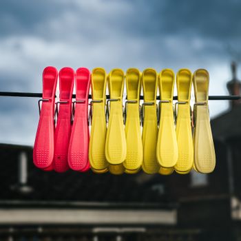 Household Responsibilities 