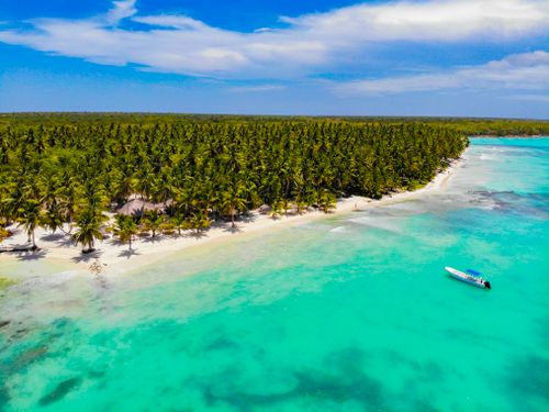Free Stunning aerial view of a tropical beach with lush palm trees and turquoise water, featuring a serene landscape. Stock Photo