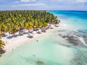 俯瞰热带海滩，棕榈树与碧绿海水相映成趣，是放松度假的绝佳去处