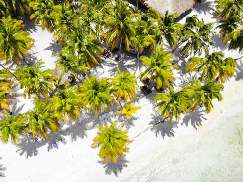 Free Stunning aerial view of a tropical beach with lush palm trees and white sand coastline. Stock Photo