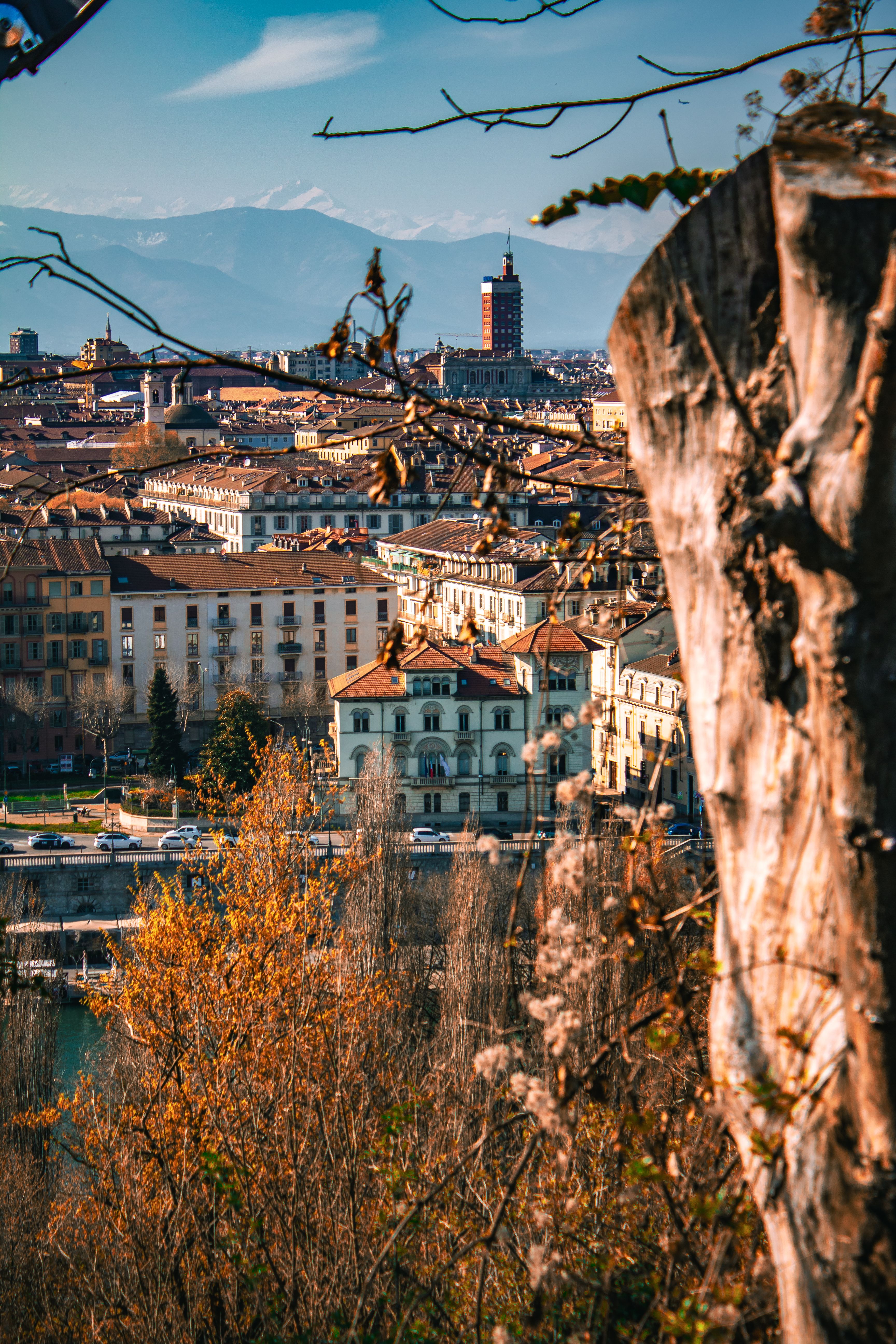 Scenic view of Turin, Italy