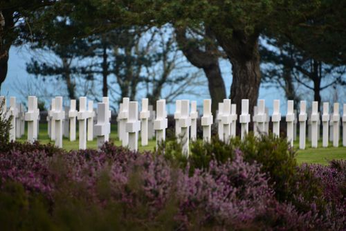Free Rows of white crosses at Normandy American Cemetery, a somber World War II memorial in France. Stock Photo