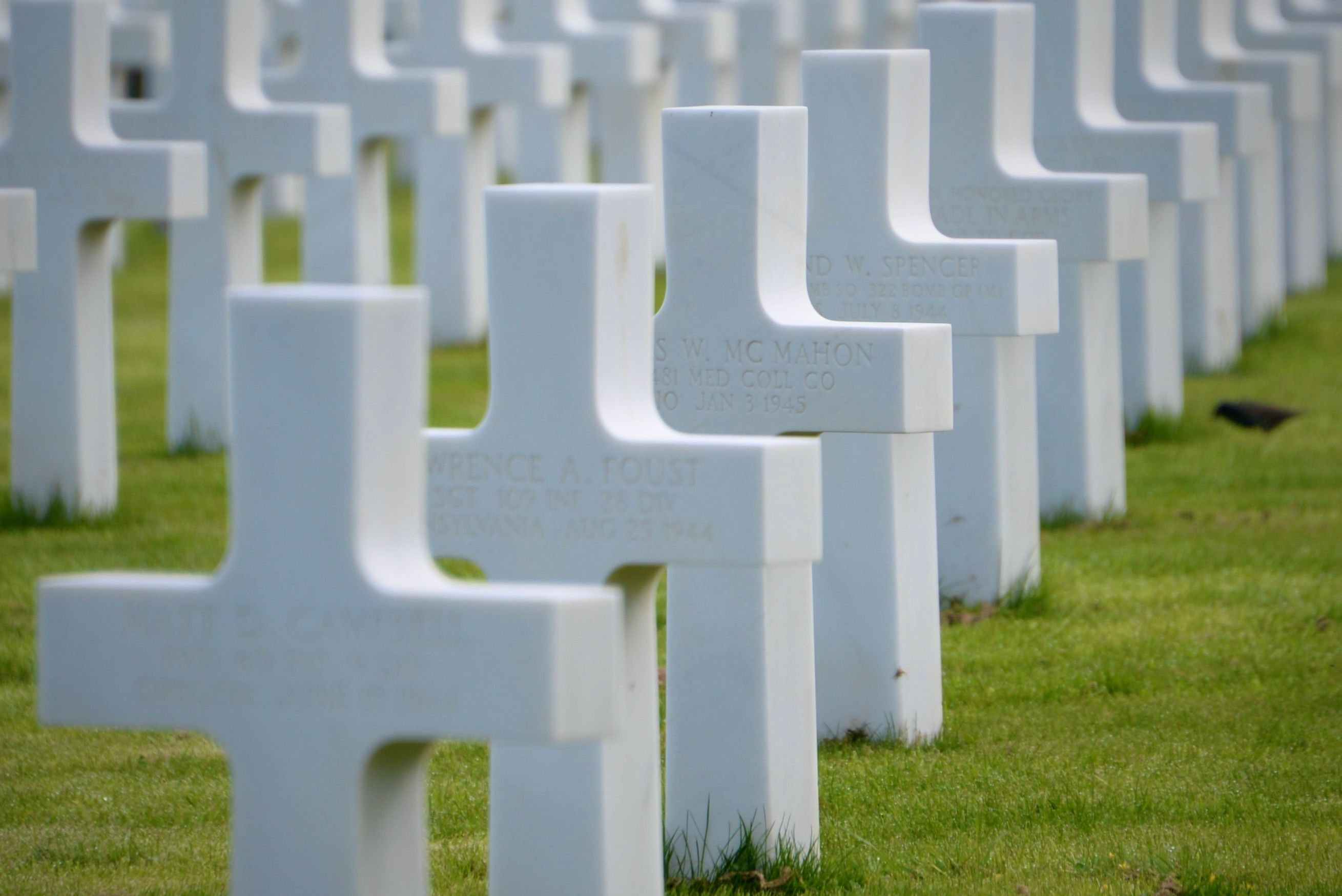 Serene white crosses in Normandy American Cemetery, honoring WWII soldiers.
