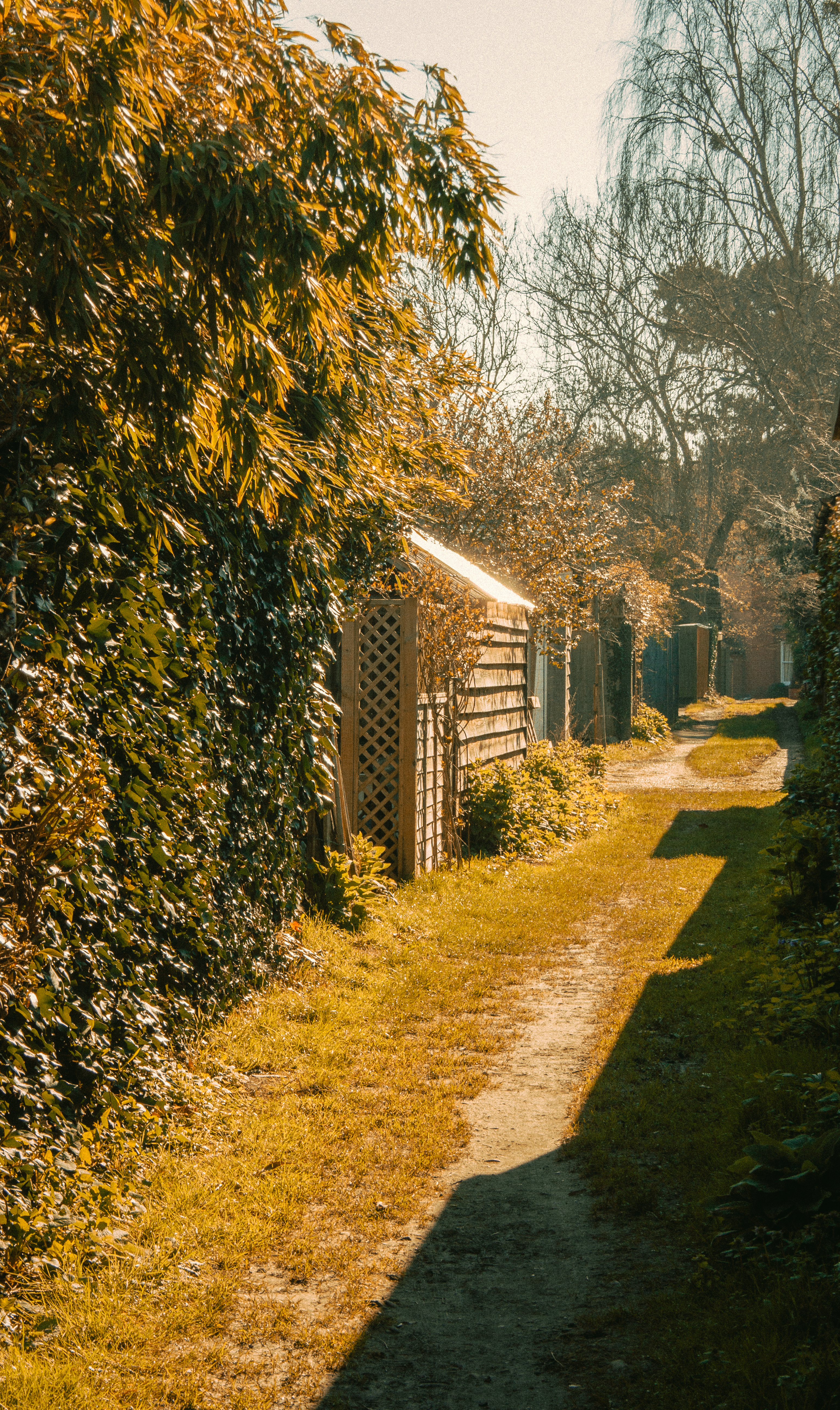 Use Gravel or Brick Pathways