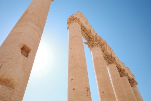Palmyra, Syria photo 3