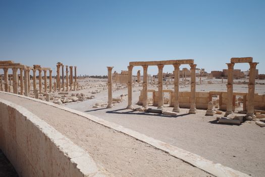 Palmyra, Syria photo 4