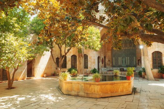 Charming courtyard in Hama, showcasing traditional architecture and lush greenery.