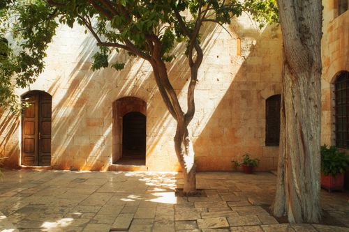 Free Beautiful sunlit courtyard with trees casting shadows on stone walls in Hama, Syria. Stock Photo