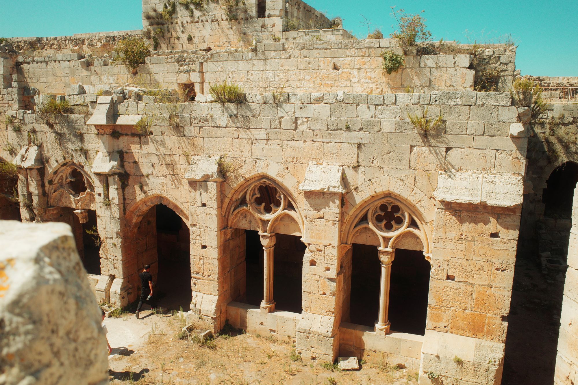 Homs