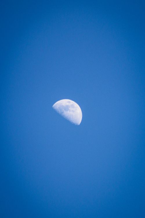 Free A beautiful waning moon captured against a pure blue sky. Stock Photo