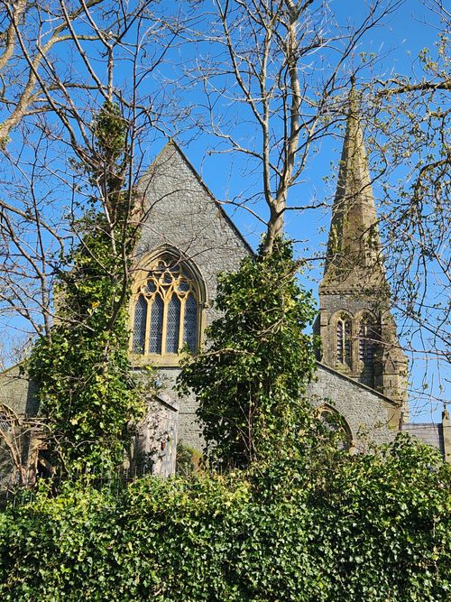 Free A beautiful historic church with ivy-covered walls and Gothic architecture against a clear blue sky. Stock Photo