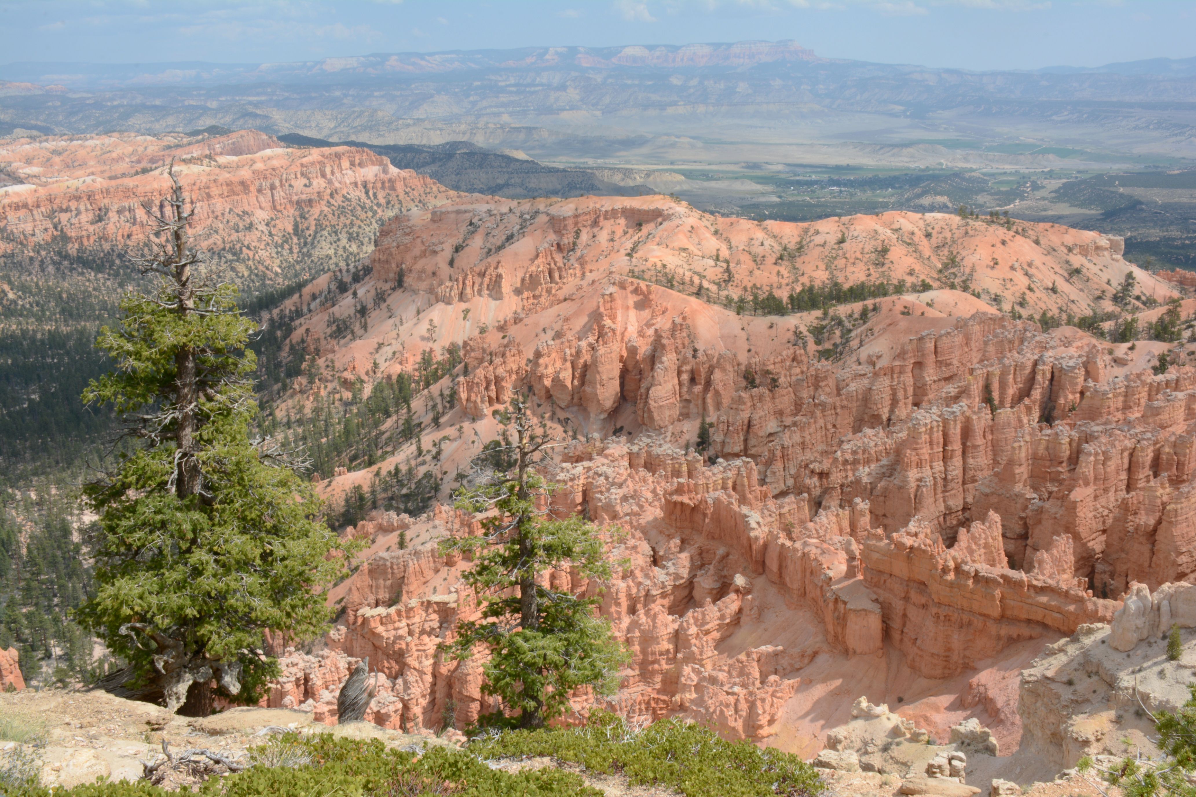 The forested view from Rainbow Point at the south end of the park