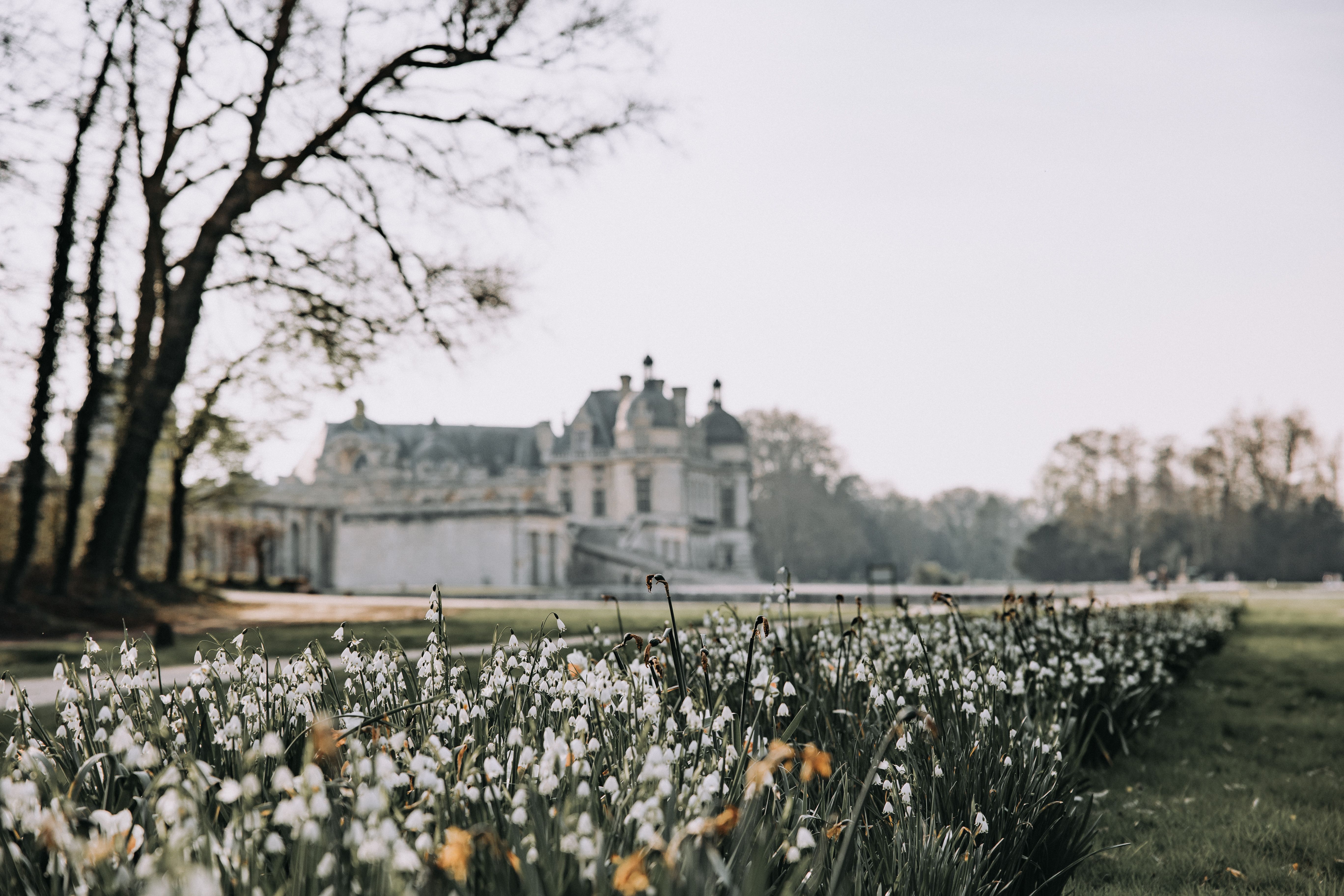 Chateau de Chantilly with Spring Blossoms · Free Stock Photo