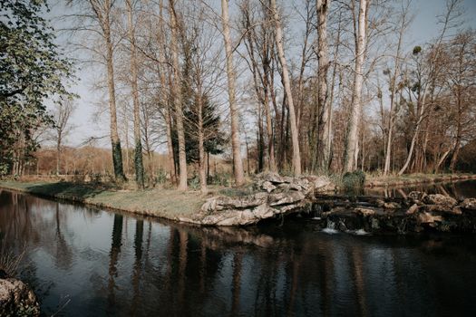 Serene view of a natural waterway and trees in Chantilly, France, during spring.