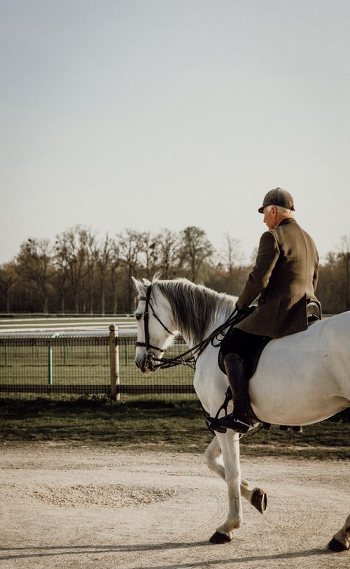 Free A rider on a white horse at Chantilly, France, showcasing equestrian elegance. Stock Photo