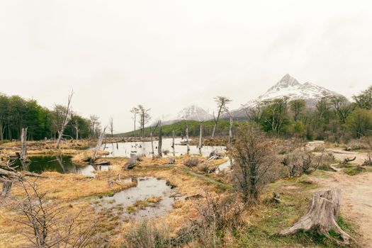 Tierra Del Fuego, Argentina photo 3