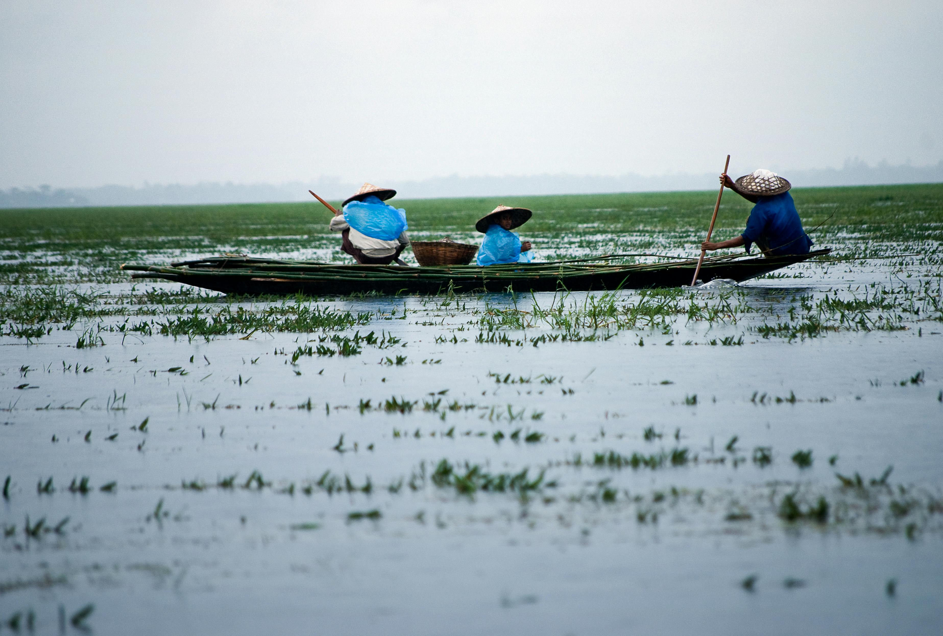 Pin on Bangladesh