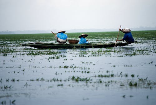 бесплатная Мужчины катаются на лодке по водоему Стоковое фото
