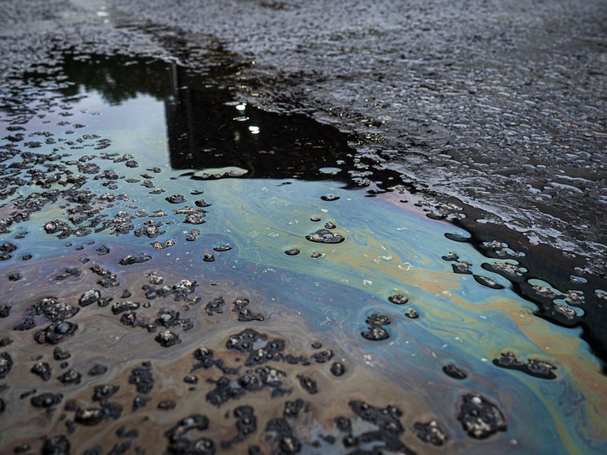 Suspected Chemical Pollution Poses Threat to Nairobi National Park and Vital Water Sources