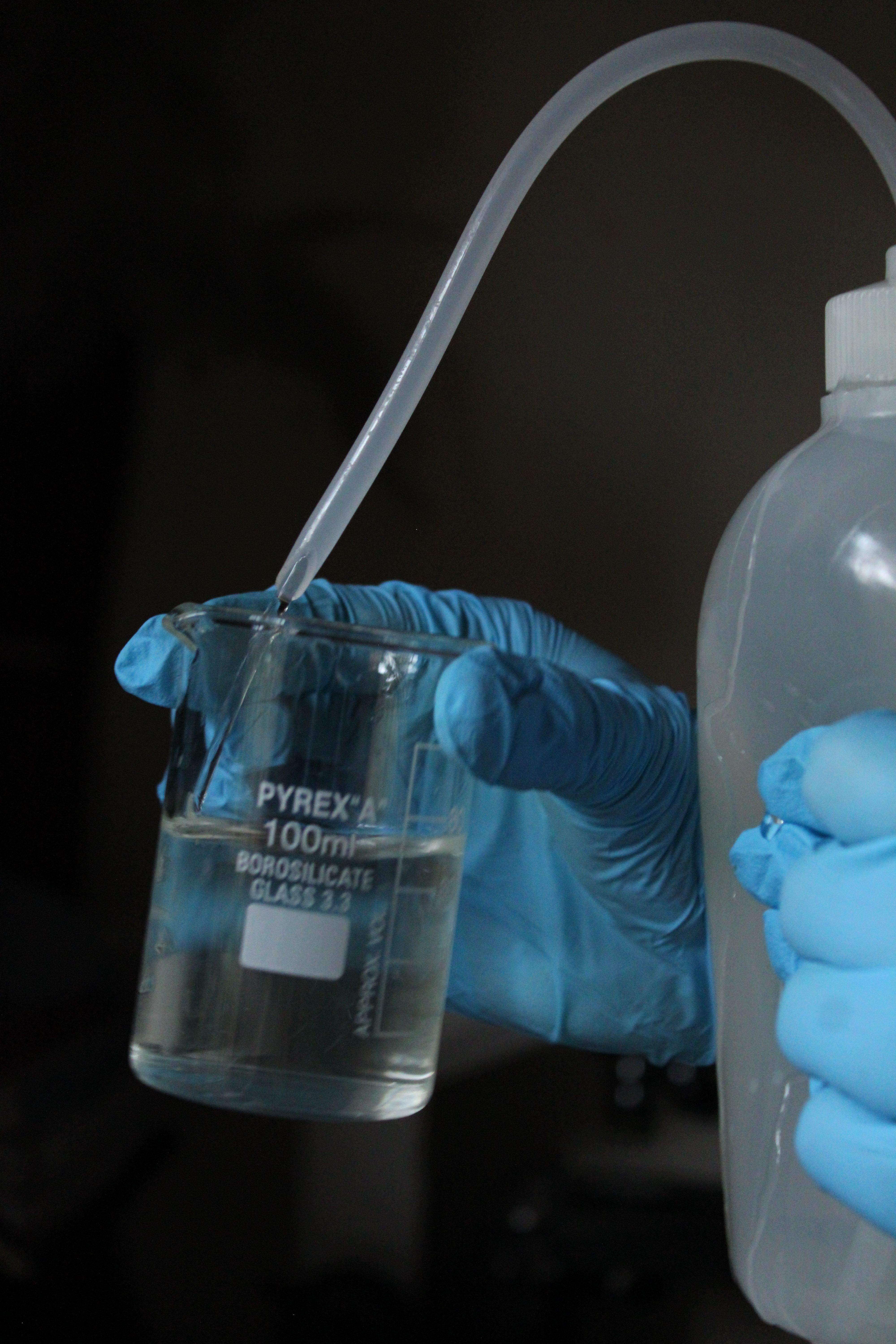 Scientist wears gloves while transferring liquid in a lab setting.