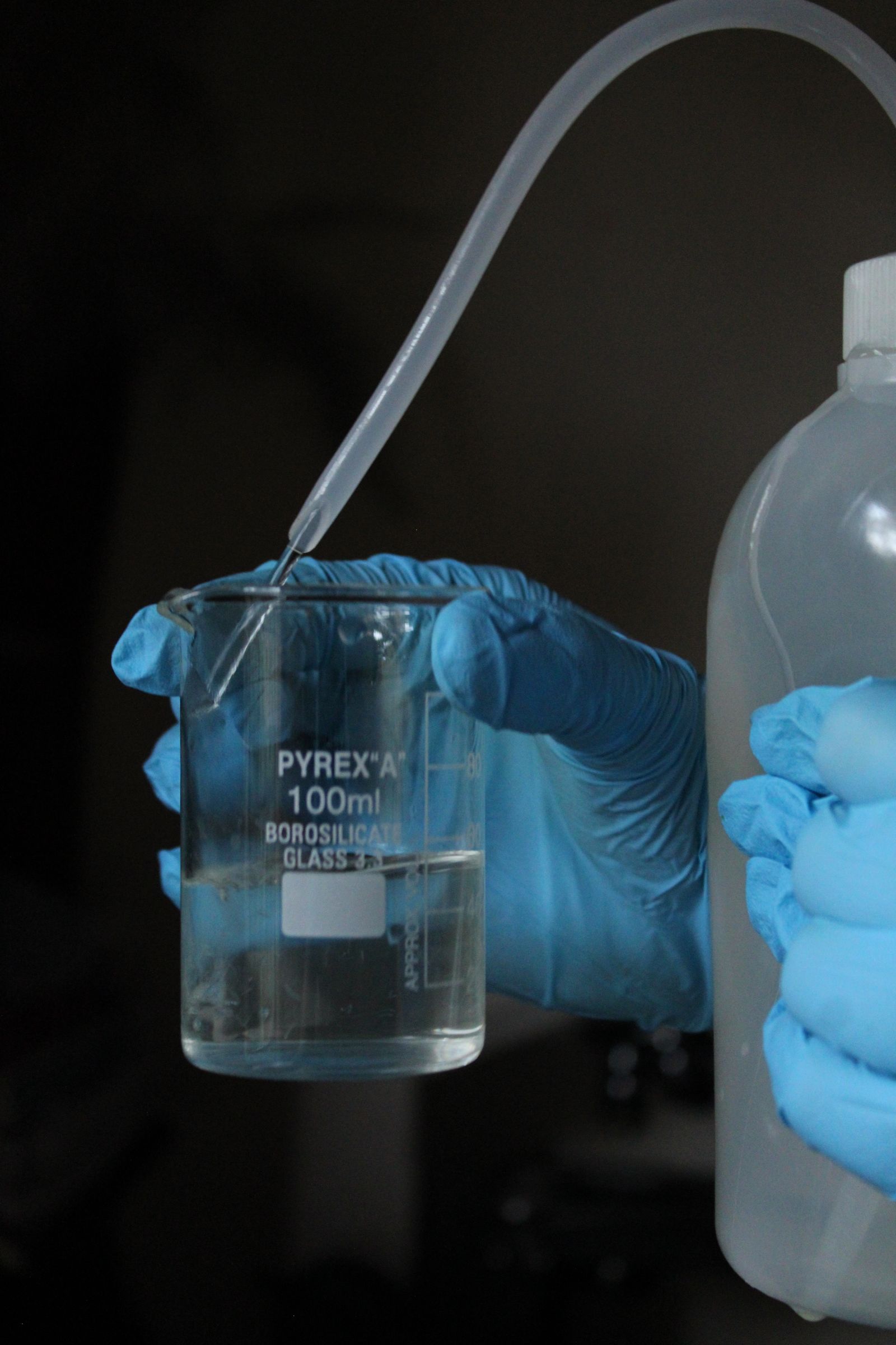Blue-gloved hands pouring clear liquid into a marked laboratory beaker