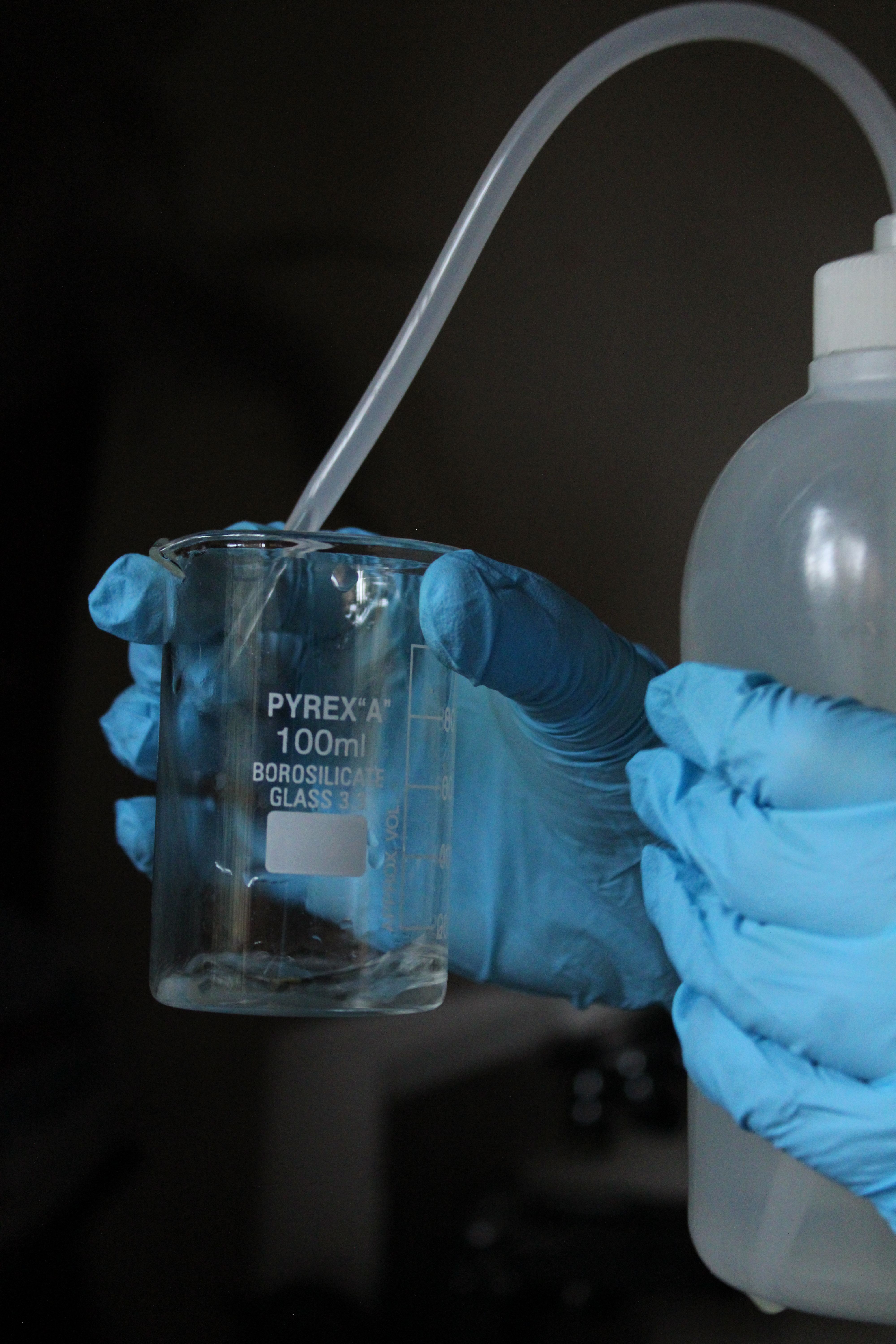 Hands in gloves handle beaker in lab experiment. Science and chemistry concept.