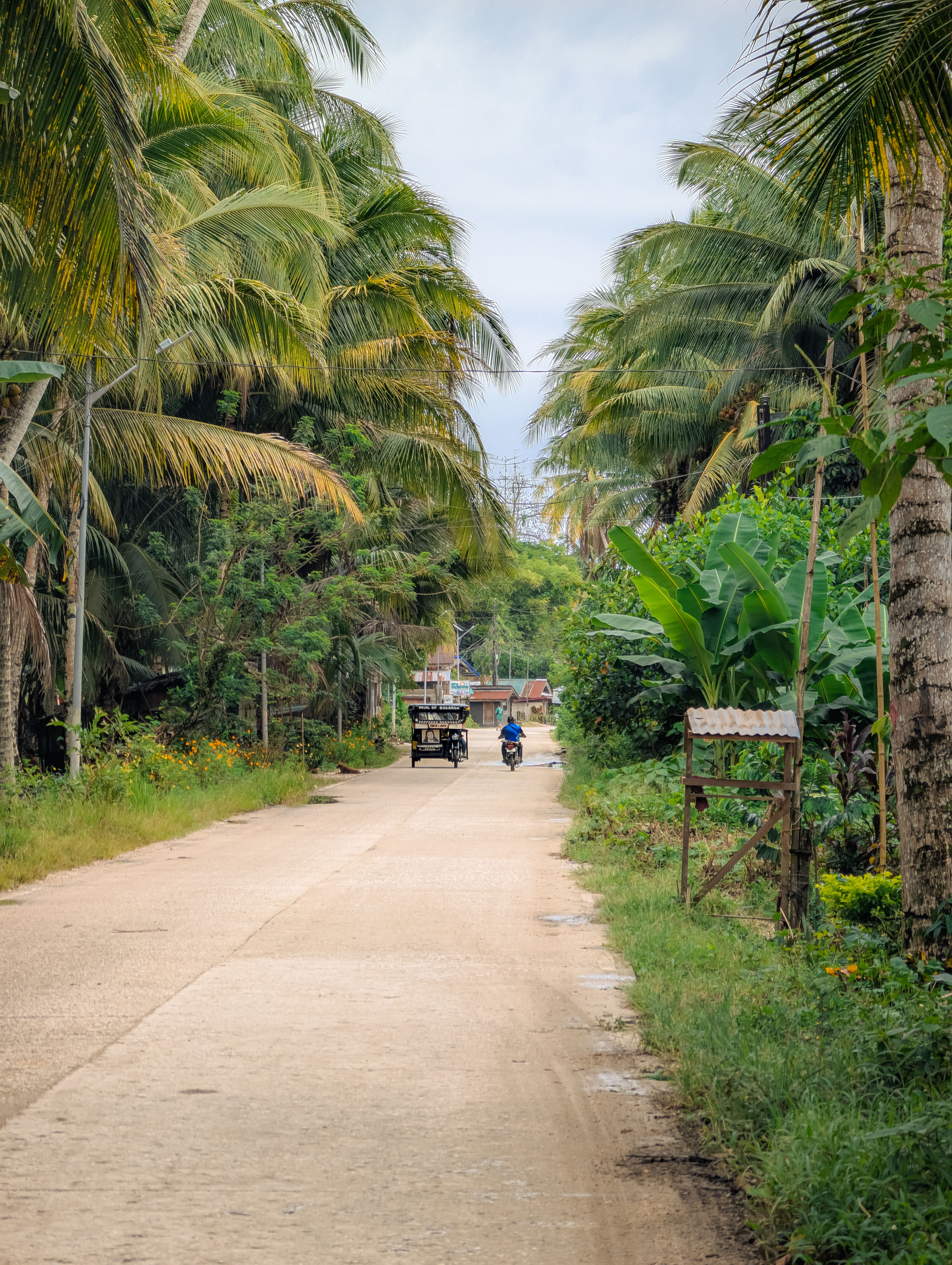 Serene Rural Road in Baganga, Philippines · Free Stock Photo