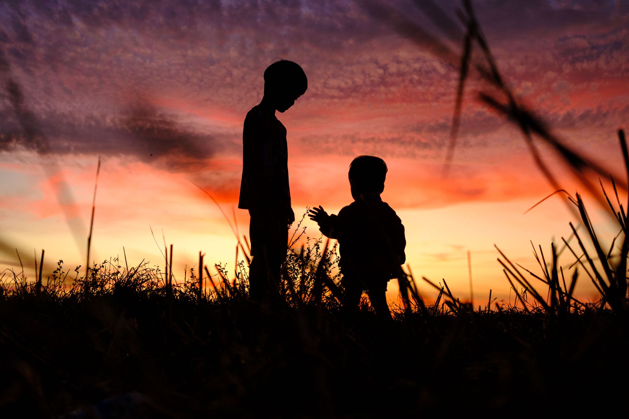 Two children in a sunset field, seen from a distance