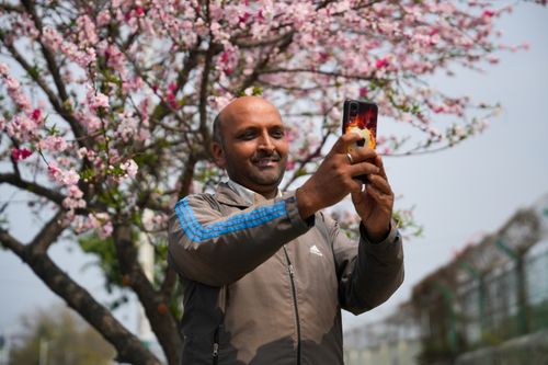 Free A man takes a selfie with pink cherry blossoms in full bloom, capturing the essence of spring outdoors. Stock Photo