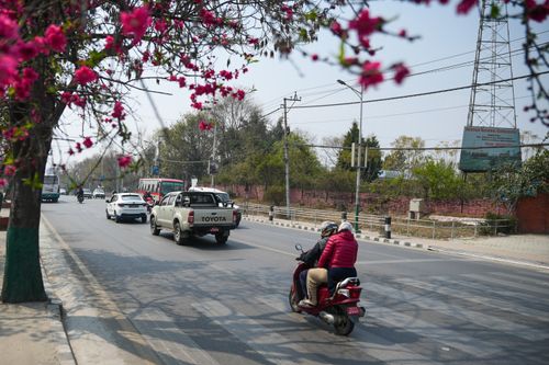 Free Street view with vehicles and blooming flowers, capturing vibrant urban life on a sunny day. Stock Photo