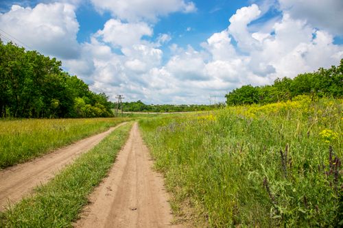 Free A serene dirt road meanders through vibrant summer countryside under a bright blue sky. Stock Photo