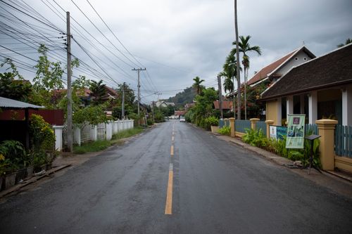 Free A serene view of a wet, empty street lined with tropical plants in a village with overcast skies. Stock Photo