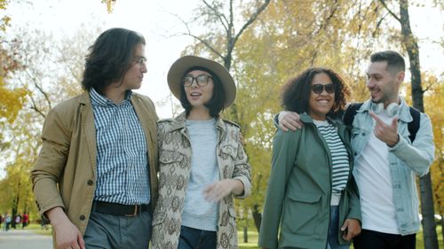 Free A diverse group of friends walking together in a sunny autumn park, smiling and having fun. Stock Photo