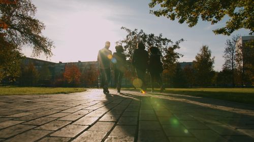 Free Silhouette of four people walking in a park during sunset with sun flare. Stock Photo