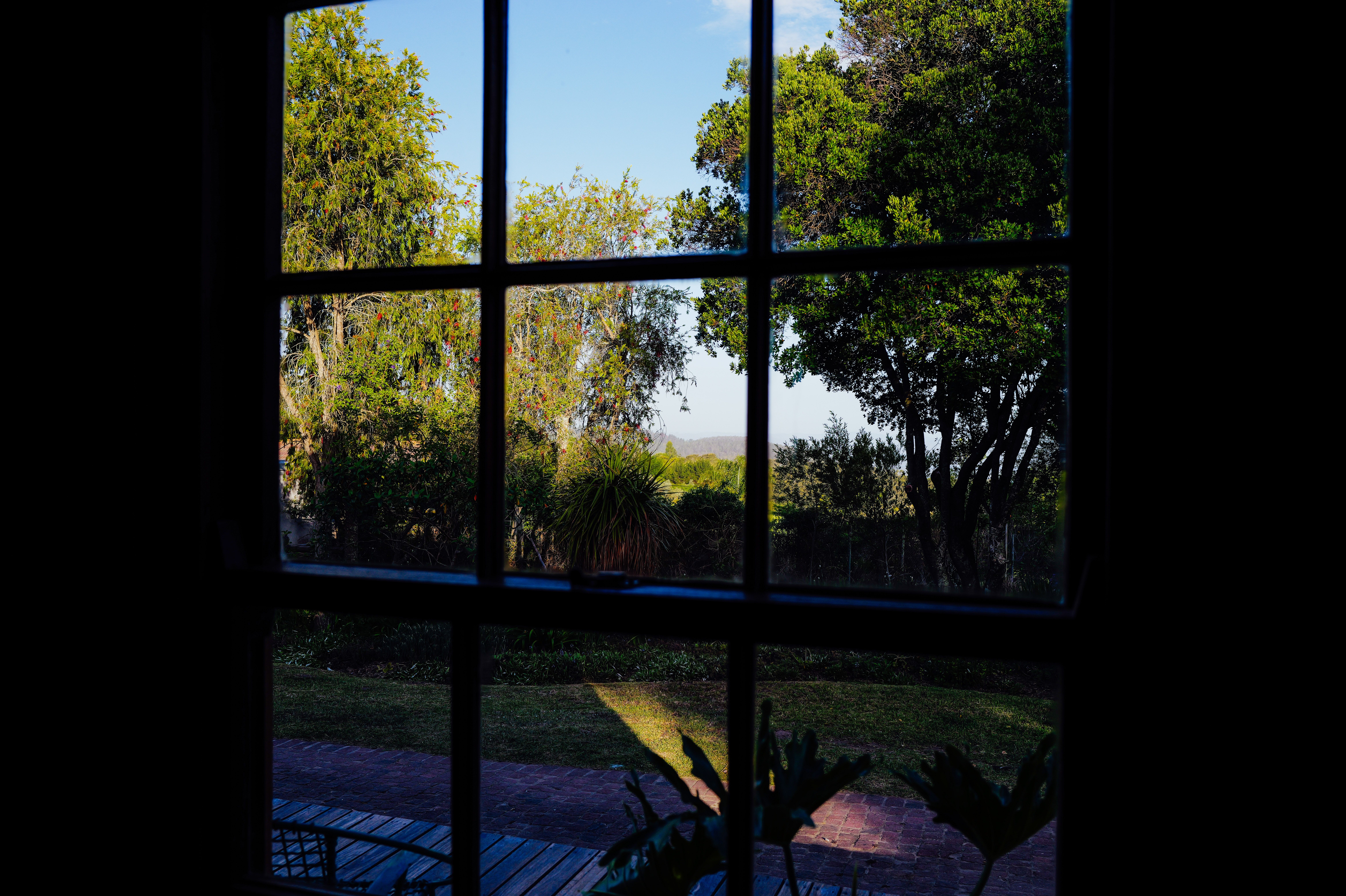 Serene Garden View Through a Window Frame · Free Stock Photo