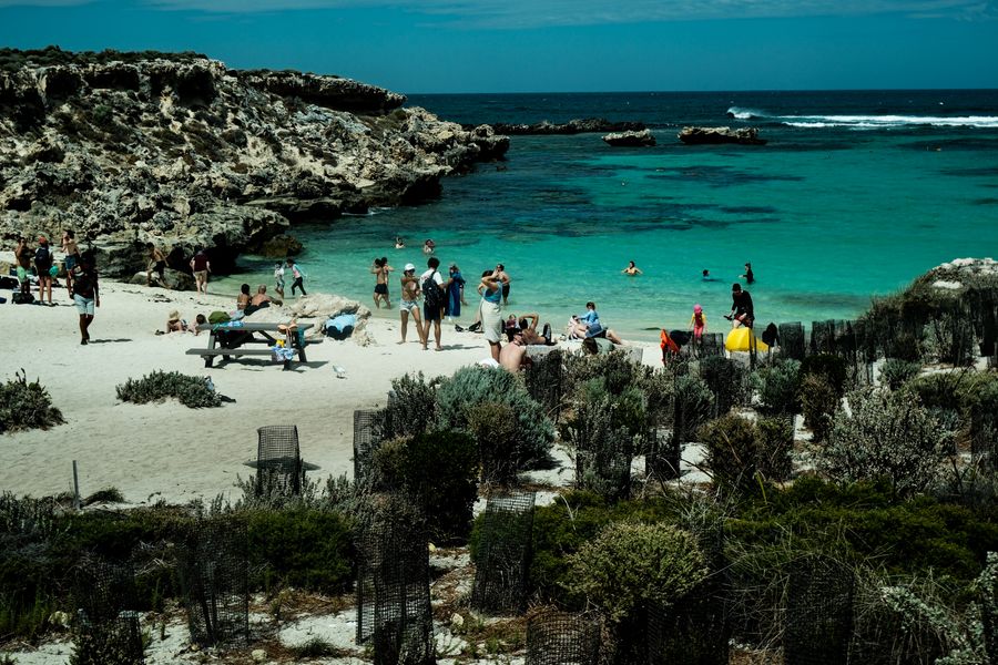 Rottnest: квокки и бирюзовые бухты