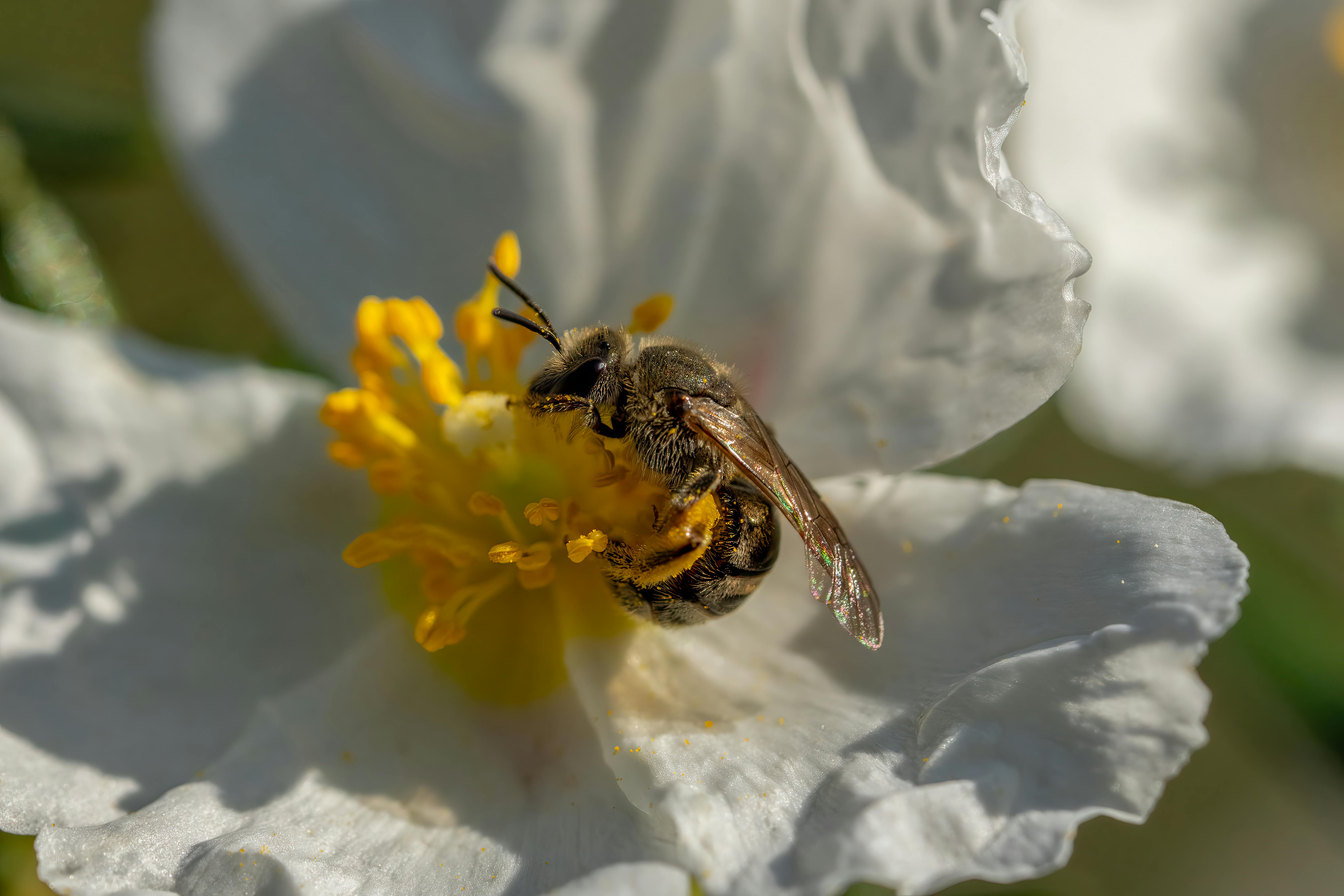 Ark Valley Civics Bee Competition to Send Three Local Students to State — Photo by Rafael Minguet Delgado on Pexels