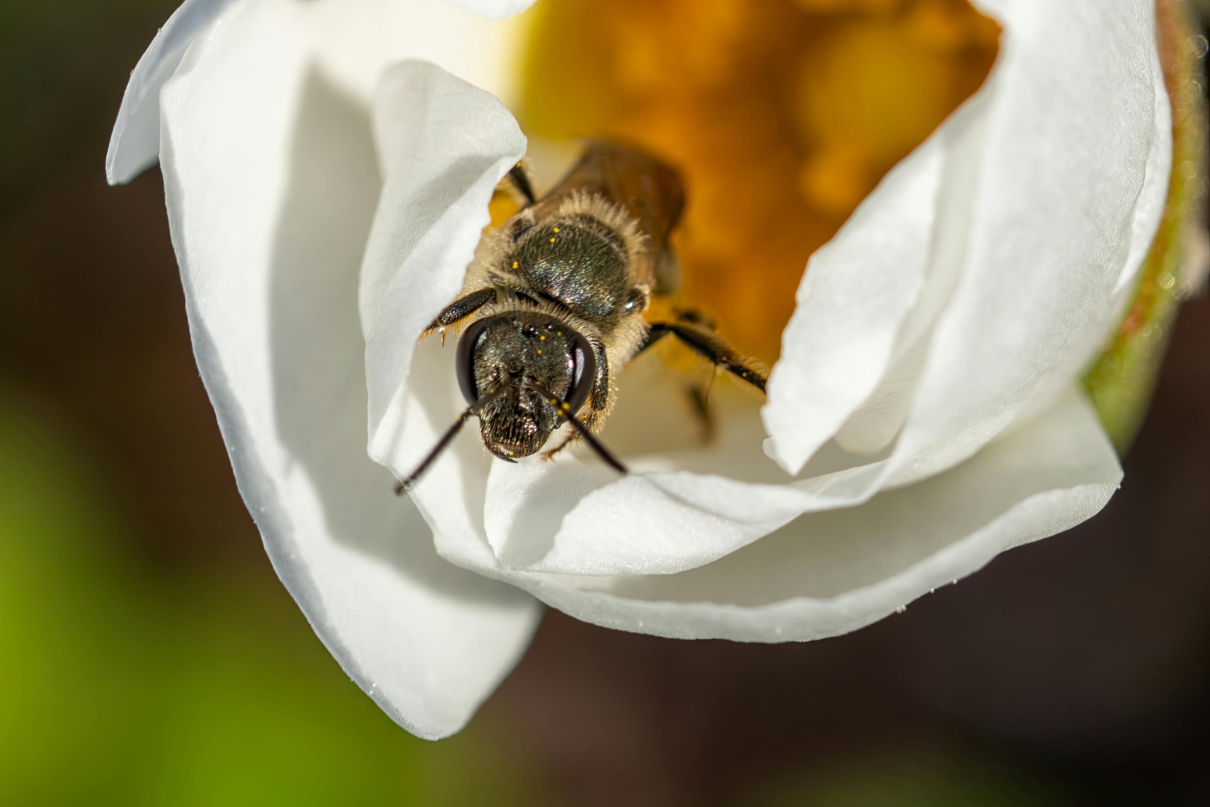 Ark Valley Civics Bee Competition to Send Three Local Students to State — Photo by Rafael Minguet Delgado on Pexels