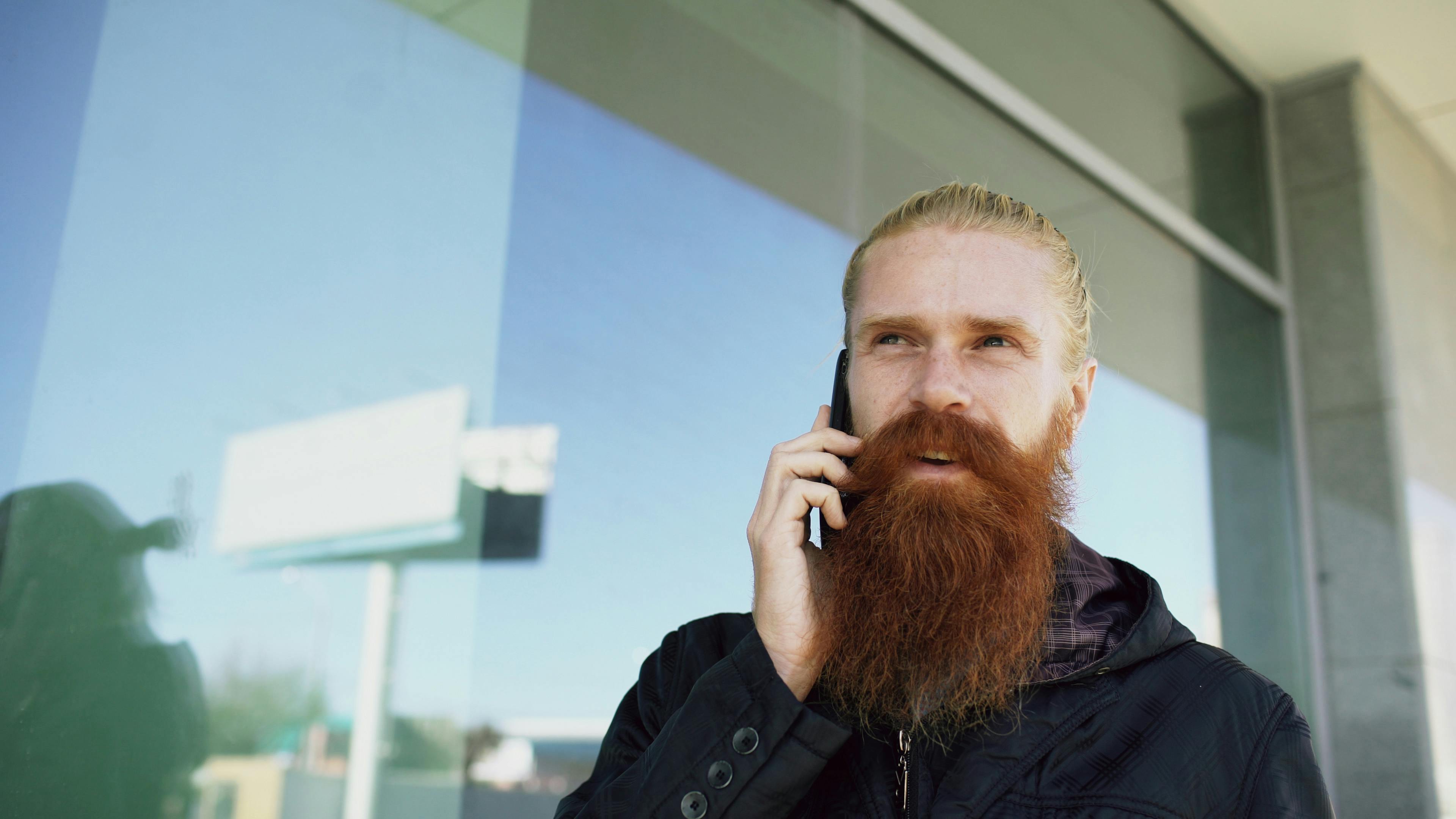 While Zach Galifianakis finds peace in gardening, I’m at war with raccoons — Photo by Vitaly Gariev on Pexels