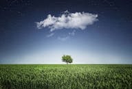 在云层与星空下的田野中，一棵孤独的树展现了大自然的宁静