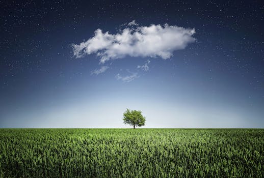 在云层与星空下的田野中，一棵孤独的树展现了大自然的宁静