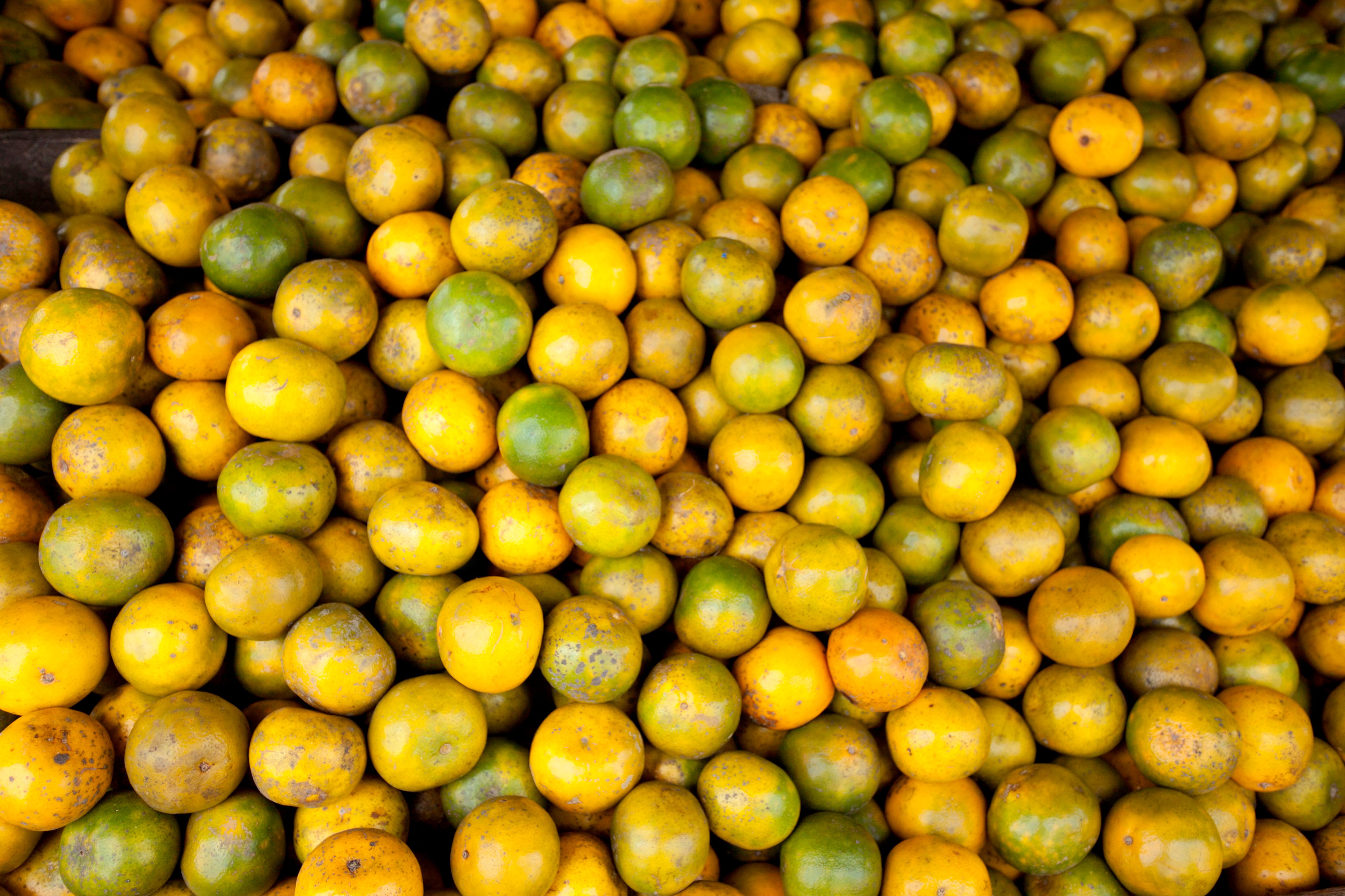 Oranges
