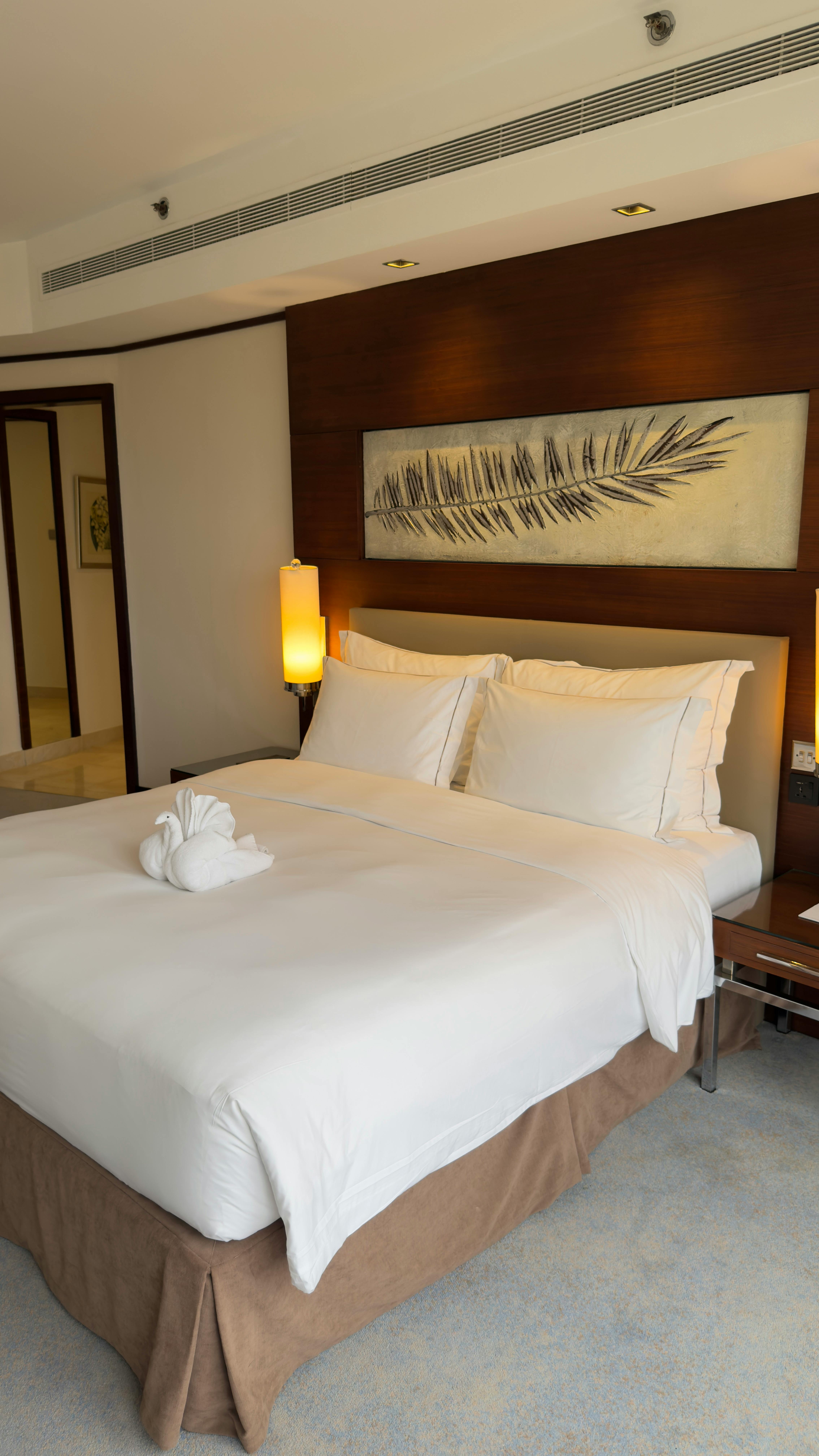 Suite Hotel Room Spacious